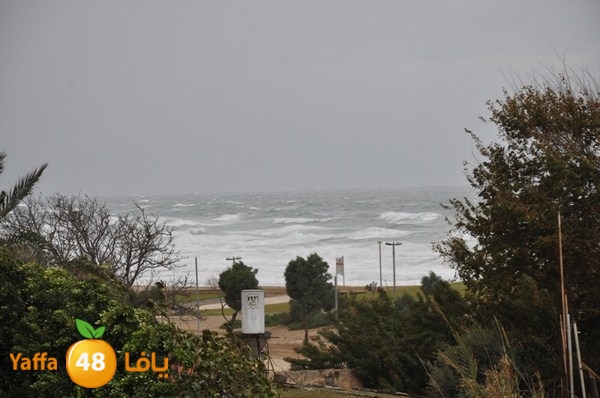 yaffa rain 1211 (6).JPG